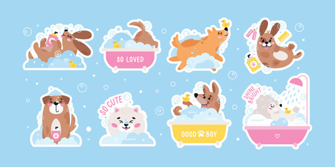 Dog pet grooming stickers. Caring about dogs. Set of vector flat pet washing illustrations