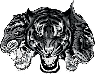 monochromatic illustration of Set of tiger head