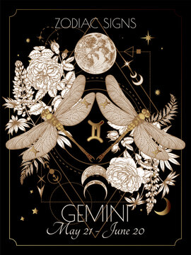 Vector illustration of zodiac signs in flowers. Gemini dragonflies in black and gold colors in engraving style