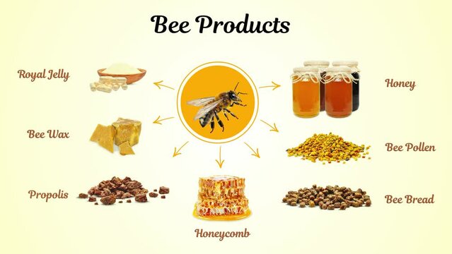 bee products, royal jelly, honey, propolis, bee bread, pollen, bee venom isolated