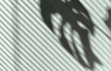 Shadows on wall. Abstract light, black shadow overlay from window shade and monstera leaf on mint...