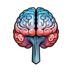 human brain model design illustration colorful