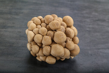 Fototapeta na wymiar Raw asiam delicacy mushroom Shimeji