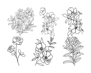 set of black and white line art flowers