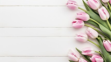 beautiful tulips white and pink on white background, flat lay and copy space - generative ai