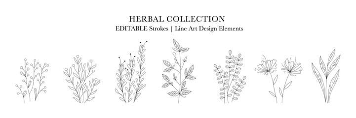 Herbal Collection. Editable line art monochrome Design. Set of linear floral designs, medicine flowers and plants - 702189289