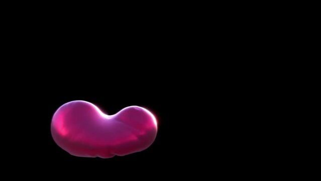 Heart shaped balloon deflating and inflating 3d animated clip for valentines day with an alpha channel for adding your own background.