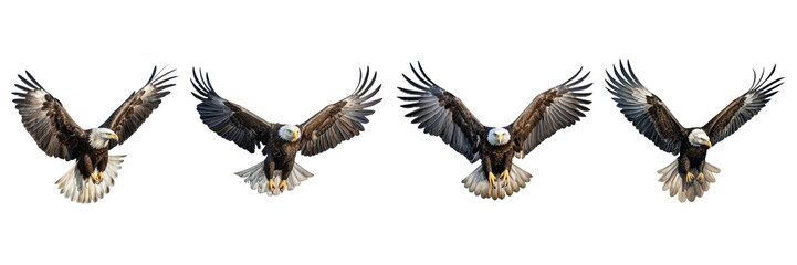 A set of single American Eagle is flying isolated on a transparent background in the top view. PNG