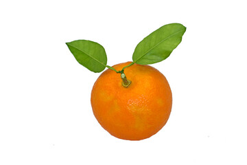 Bitter orange (called as turunc in Eastern Mediterranean region) consumed to give a sour taste in salads and vegetable dishes
