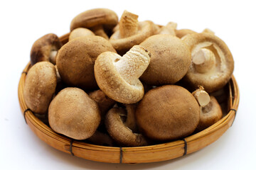Fresh shiitake mushrooms on white background.