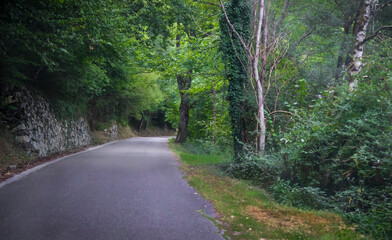 Obraz premium Valle de Arán, bosques, ríos, cascadas, montañas 