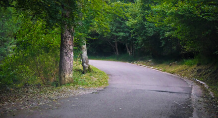 Obraz premium Valle de Arán, bosques, ríos, cascadas, montañas 