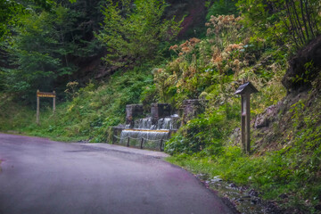 Valle de Arán, bosques, ríos, cascadas, montañas 