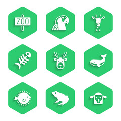 Set Deer head with antlers, Frog, Sheep, Whale, Puffer fish, Fish skeleton, Giraffe and Zoo park icon. Vector