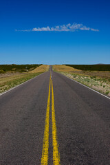 Road  in the Pampas plain,La Pampa Province,  Patagonia, Argentina