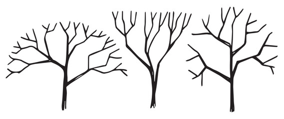 set of trees, hand drawing, frontal view. architectural ink drawing, vector. - obrazy, fototapety, plakaty