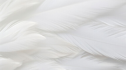 Obraz premium Close-up of delicate white feathers showing detailed soft texture and lightness.