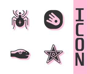 Set Pentagram, Spider, Snake and Comet falling down fast icon. Vector