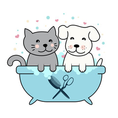 Cute dog and cat in the bathroom, scissors and comb. Grooming and pet care design