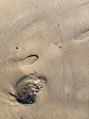 footprint in sand - 702213478