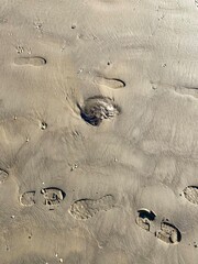 footprints in sand - 702213606