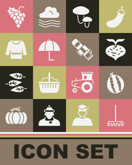 Set Garden rake, Watermelon, Beet, Mushroom, Umbrella, Sweater, Grape fruit and Winter scarf icon. Vector