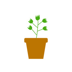 Potted Plant Vector Illustration