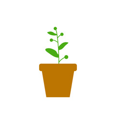 Potted Plant Vector Illustration