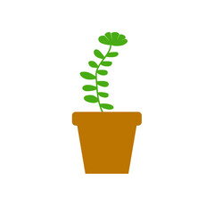 Potted Plant Vector Illustration