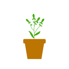 Potted Plant Vector Illustration
