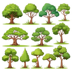 Vector Cartoon of Trees Isolated on White Background On transparent background PNG file