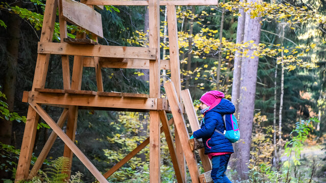 Kind klettert auf Hochsitz im Wald im Herbst