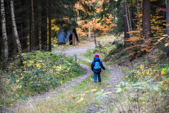 Kind wandert im Herbst Wald auf dem Weg