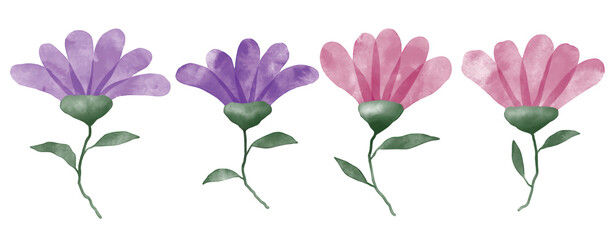 Fototapeta na wymiar Set of watercolor purple flowers and green leaves elements.