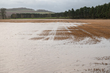 Teviot River flooding into a farmers field after storm Gerrit in December 2023, Scottish Borders, UK - obrazy, fototapety, plakaty