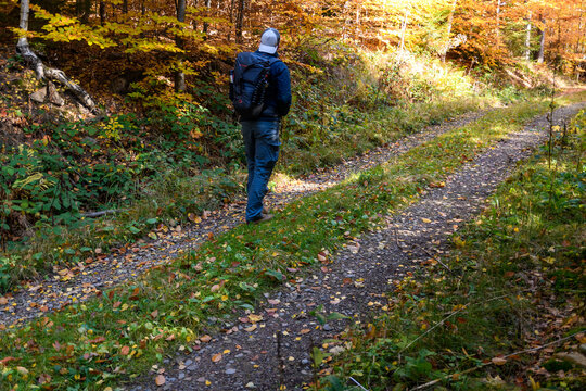 Wanderer im Herbst