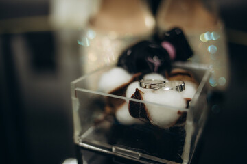 close up view of white flowers, wedding rings in rustic box with plants inside