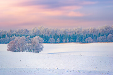 Discover a magical winter wonderland with breathtaking scenery. Explore the beauty of pristine...
