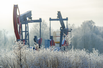 Pumpjack Who knew oil pumps could look so mesmerizing against a backdrop of shiny frost? Nature...
