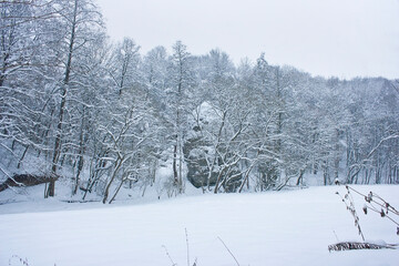 Winter landscape. A rock in a snowy winter forest