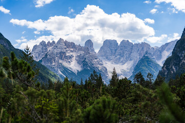 Mountain ridge of the dolomites in Italy on a sunny day with pines in the foreground