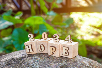 Year 2024 in wooden blocks cubes with growing plant at sunrise. New year 2024 hope concept.
