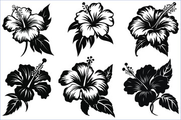 Black silhouettes of tropical hibiscus flowers isolated on a white background, Hibiscus flower silhouettes icon set - obrazy, fototapety, plakaty