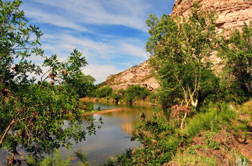 Fototapeta na wymiar Verde River Central Arizona