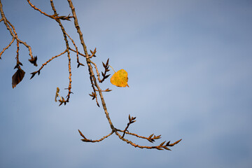 Herbstimpression
