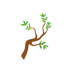 Fototapeta premium Tree brances with leaves 