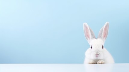 Easter bunny on a plain background, minimalism, space for text