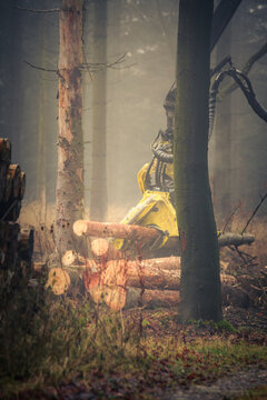 Harvester mit S&auml;ge am Baum