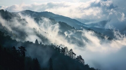 A Mountain Covered in Fog With Trees in the Foreground