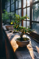 Ingelijste posters A potted bonsai tree on a wooden windowsill is generated AI © Tatiana